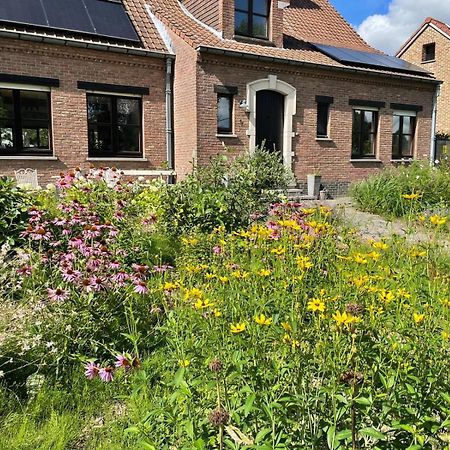 B&B Den Biesthoek Grimbergen Exterior photo