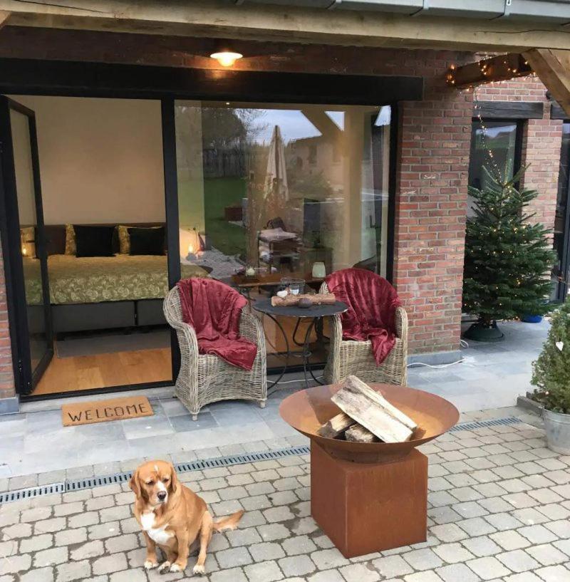 B&B Den Biesthoek Grimbergen Exterior photo