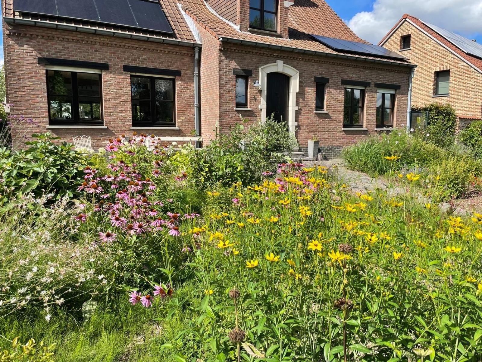 B&B Den Biesthoek Grimbergen Exterior photo