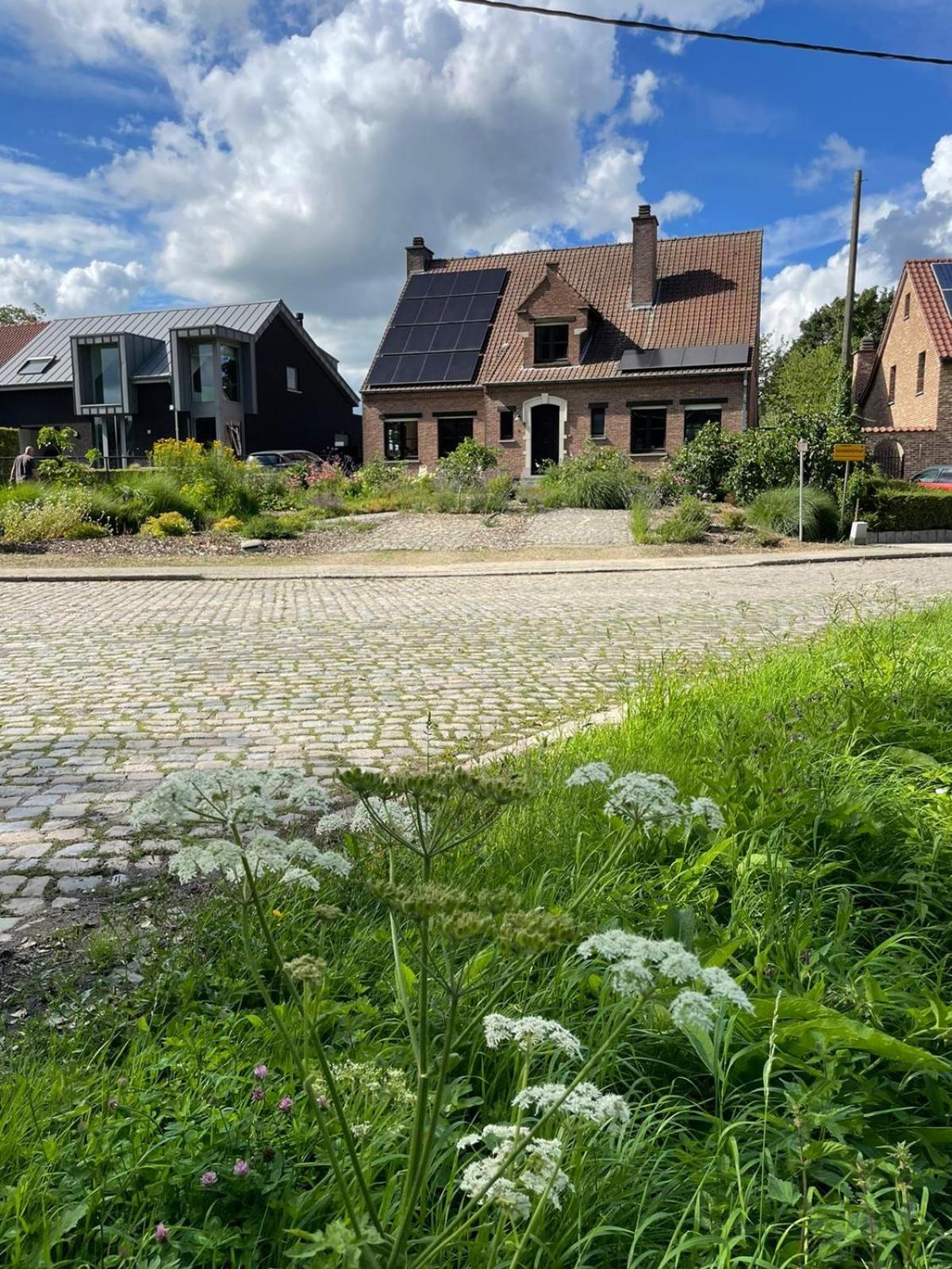 B&B Den Biesthoek Grimbergen Exterior photo